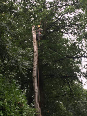 Foto van mezelf aan het werk